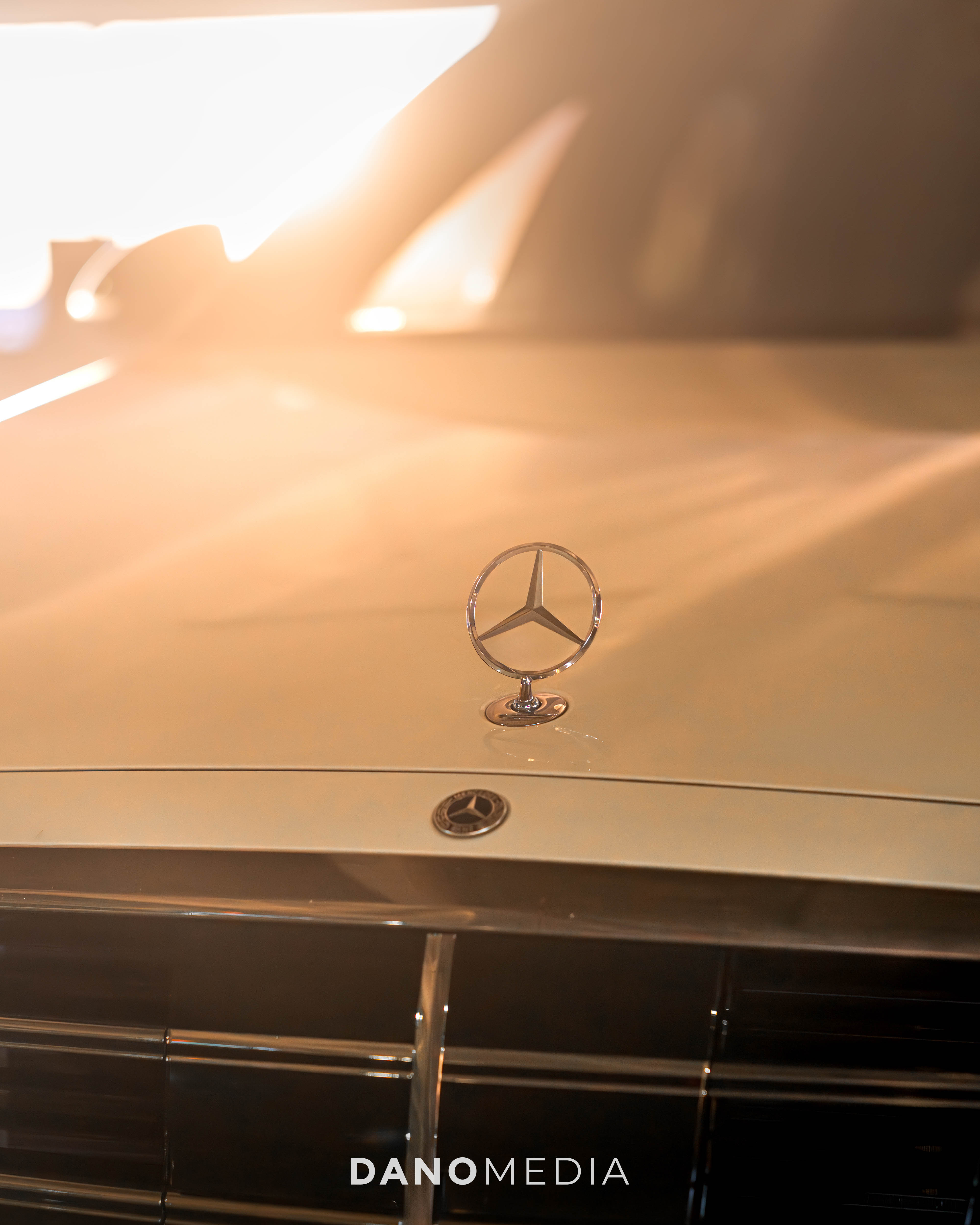 Front emblem detail